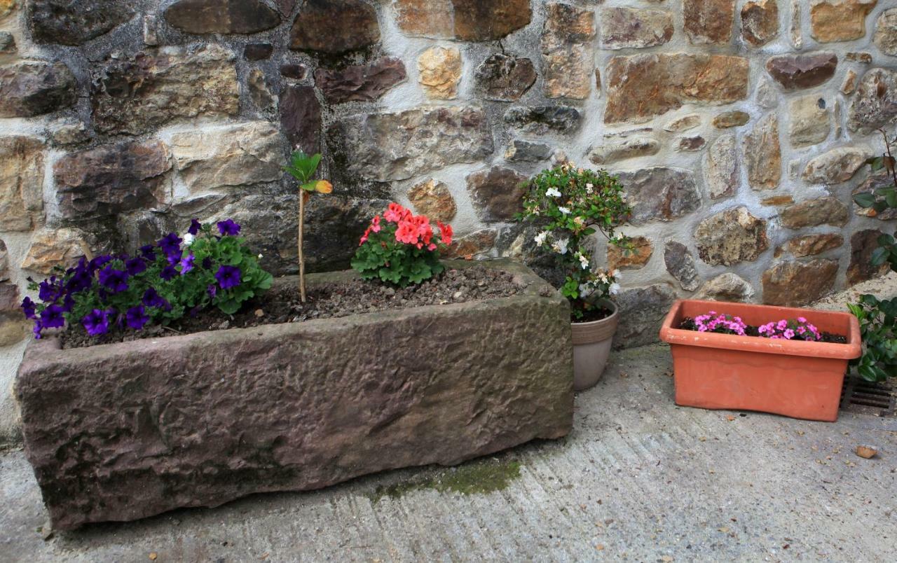 Casa Rural Mokorrea Lägenhet Etxalar Exteriör bild